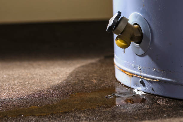 Best Water damage restoration near me  in Rochester, PA