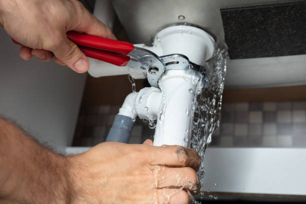 Best Water damage cleanup near me  in Rochester, PA
