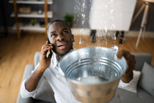 Best Flood damage cleanup  in Rochester, PA
