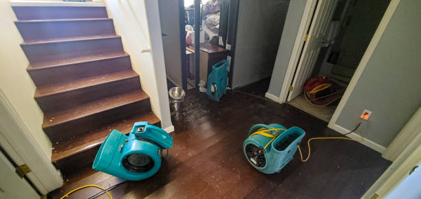 Best Water damage restoration near me  in Rochester, PA