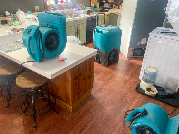 Best Water damage restoration insurance claims  in Rochester, PA