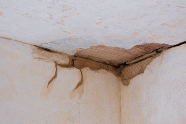 Best Commercial water damage restoration  in Rochester, PA