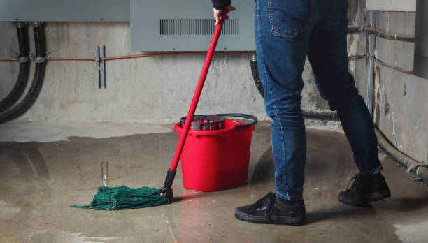 Best Sewage cleanup and water damage restoration  in Rochester, PA