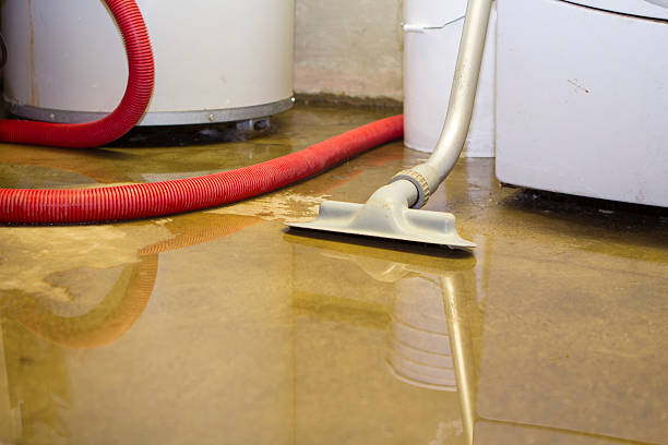 Best Local water damage restoration  in Rochester, PA