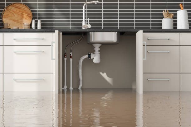 Best Mold removal after water damage  in Rochester, PA