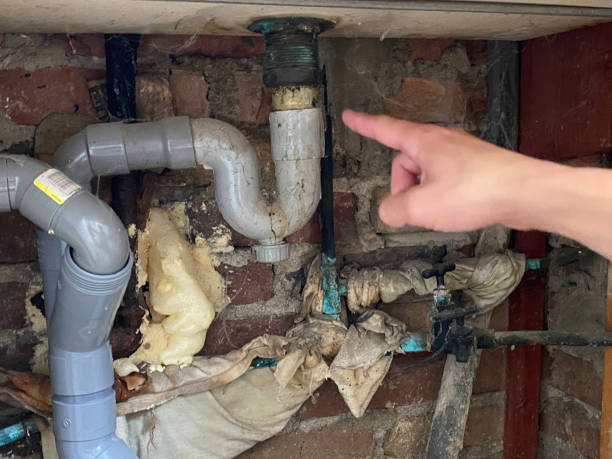 Best Water damage contractors near me  in Rochester, PA