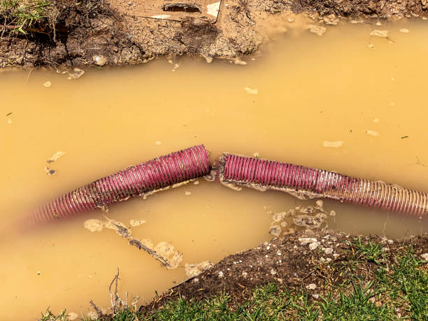 Best 24-hour water damage restoration  in Rochester, PA